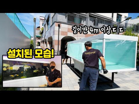 실내에 이런 초대형 수조를 설치해도 괜찮을까요? 대형어 마니아를 만나봤습니다!