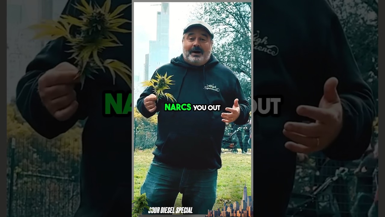 SOUR DIESEL: The weed that NARCS you out! 😂