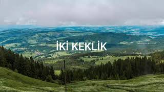 İKi KEKLİK Resimi