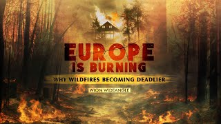 Europe is Burning: Why Are Wildfires Becoming Deadlier? | WION Wideangle