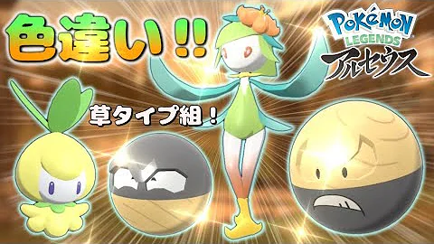 アルセウス色違いヒスイ親分 アルセウス色違いヒスイ親分