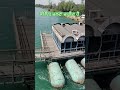 #resort #viral #shortsviral #trendingshorts #river