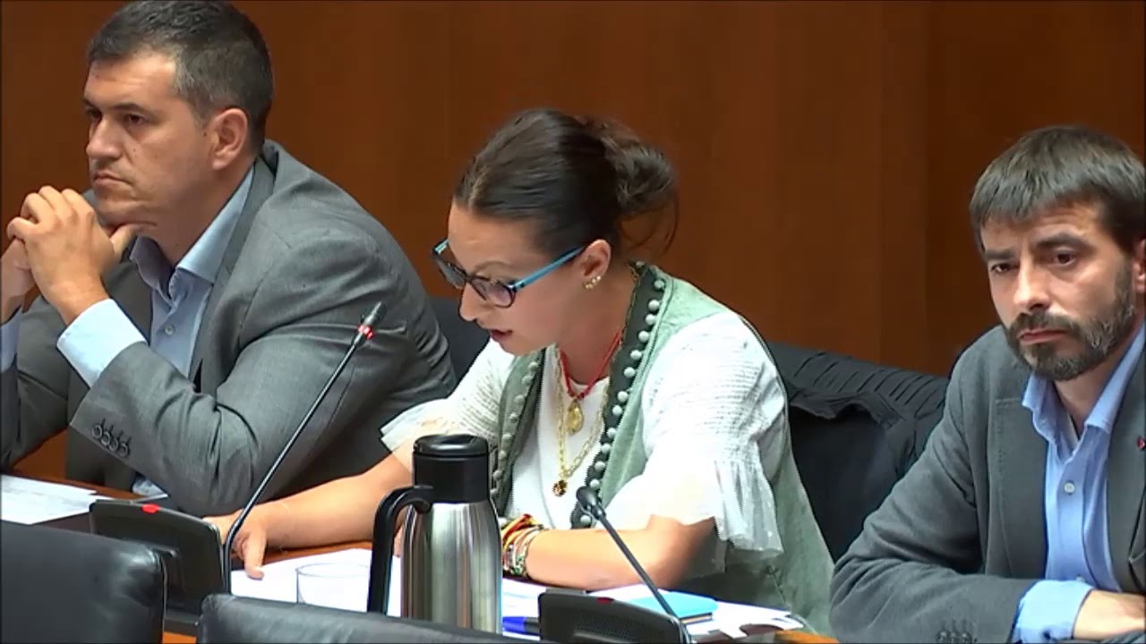 Esther Peirat.  Lineas generales Agricultura