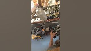 Vespa Gembel Part 2 #shorts #shortsfeed #shortsviral #fyp #vespa #vespagembel