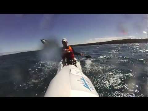 Great Ocean Paddle
