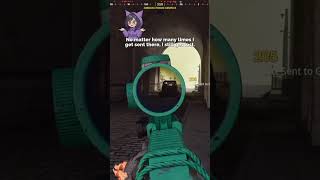 I get along with everyone in warzone! #pngtuber #warzone