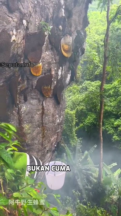 Ada yang berani coba😁