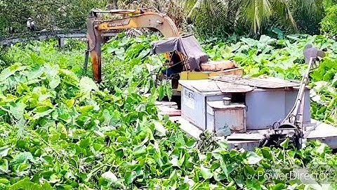 XE CUỐC MÚC ĐẤT CHUYỂN ĐI TRÊN SÔNG CẠN cần cẩu xáng cạp xáng dây xe xúc