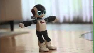 Jamix Project - Robi