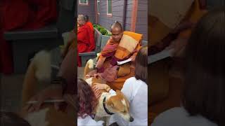 Lovely Moments Aloka ️