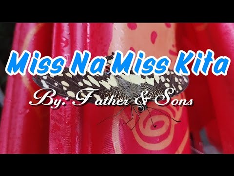 Miss Na Miss Kita || Father & Sons || Cover by: Lei Arbis Vlog