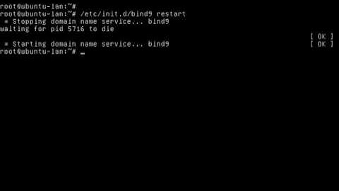 Caching nameserver in Ubuntu server 12 04 LTS