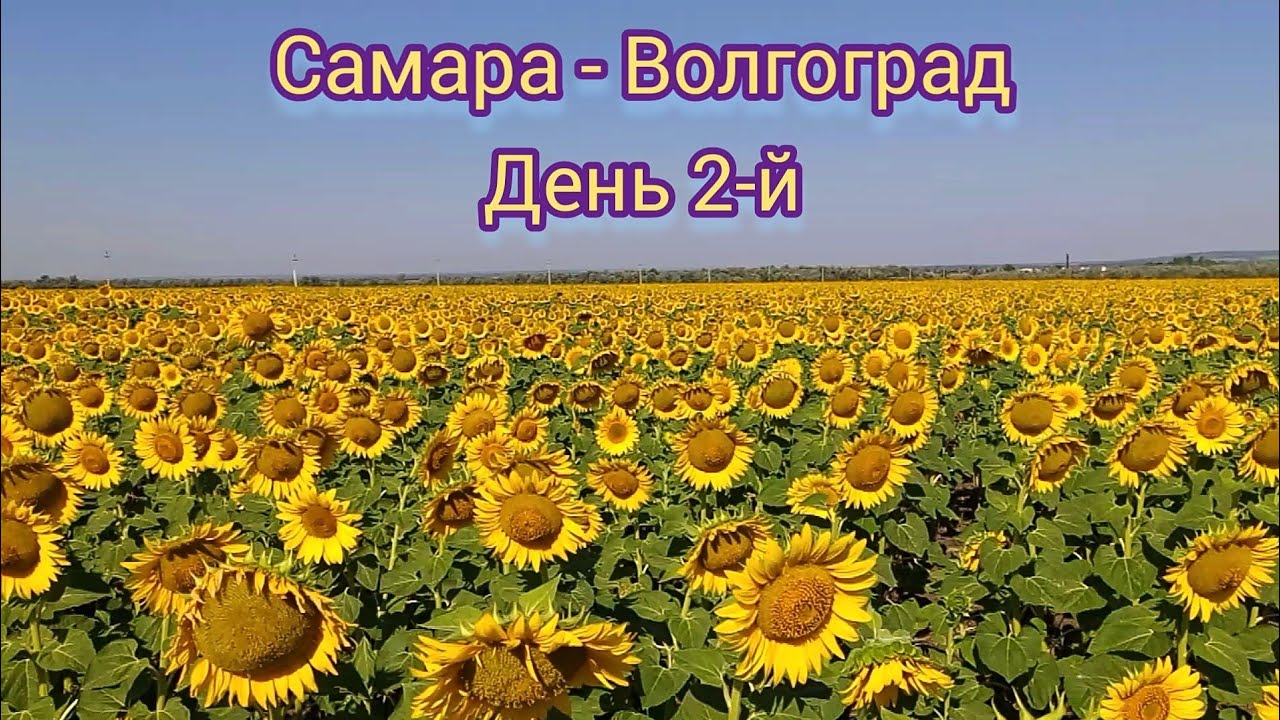 Самара волгоград на машине
