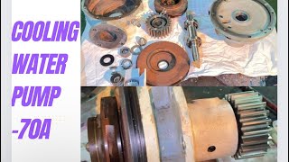 Generator Engine Cooling Water Pump Overhaul, Model: 70A