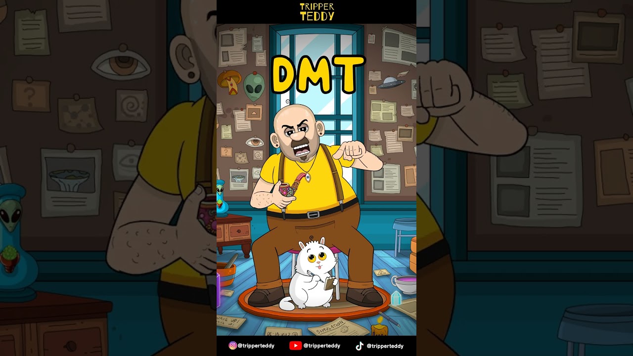 Tripper Teddy: DMT Loop