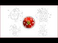 cad cam solution bd practice book sketch number,24-27