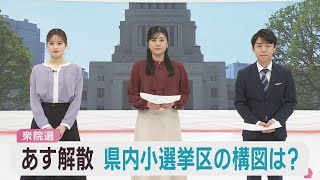 短期決戦の衆議院選挙　宮城県の５小選挙区で立候補者の顔ぶれがほぼ固まる