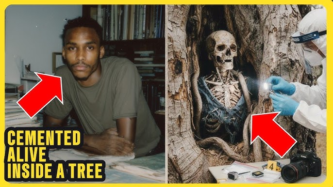 A Logger's Chainsaw Got Stuck in a Tree — What She Found Inside Solved a 29-Year  Mystery - YouTube