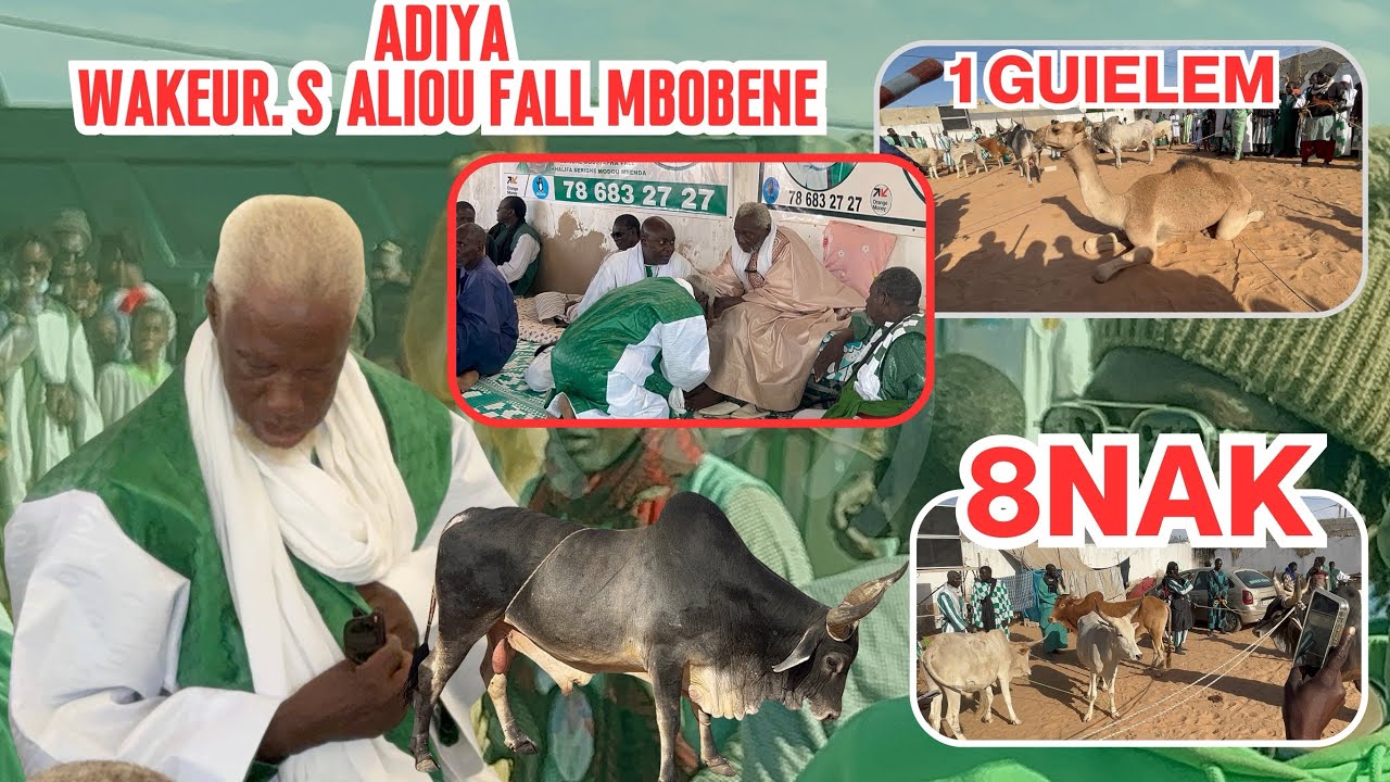 DIEBEUL ADIYA WA KEUR S ALIOU FALL MBOBÉNE 💚🤍