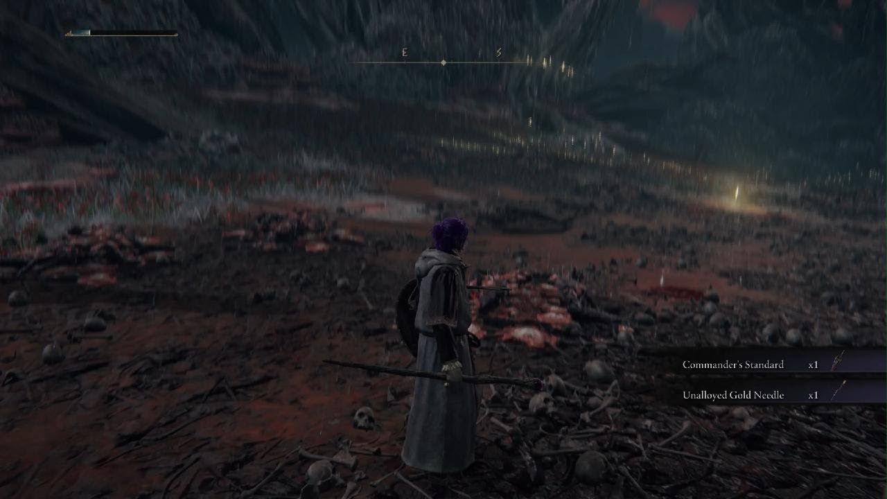 Elden Ring Grace Site Fix