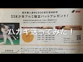 【当選】巨人　坂本勇人選手　2000安打達成記念 SSK少年野球限定アルミバットプレゼント