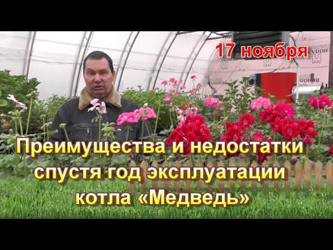 Преимущества и недостатки