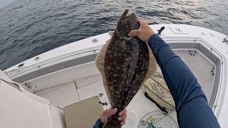 Summer 2026 Fluke Finale!! An Easy Limit
