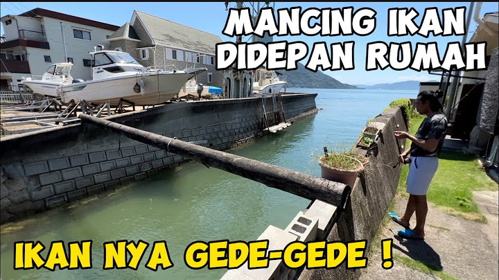 Mancing ikan besar disungai dekat rumah #mancing #jepang