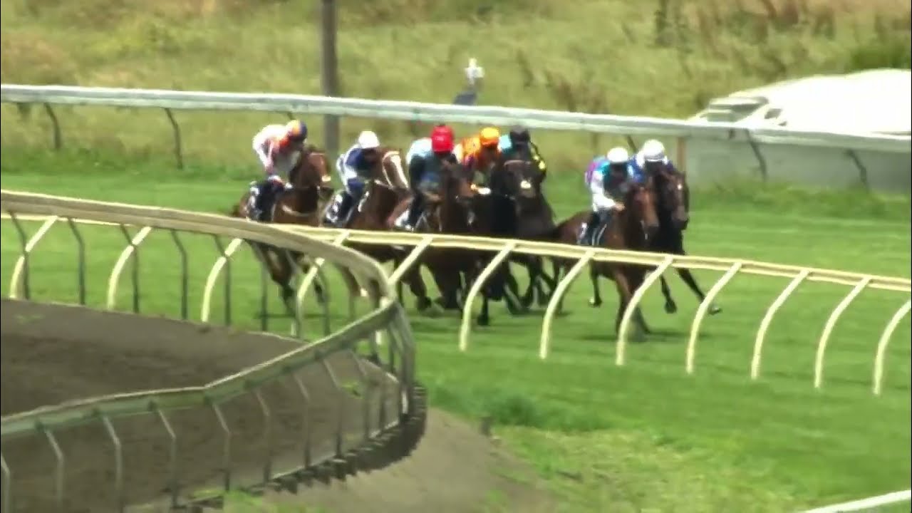 Skycity Eclipse Stakes G2 | Bellatrix Star