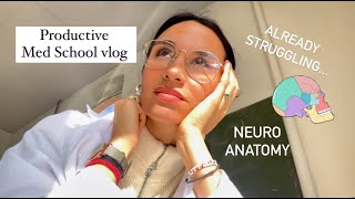 6 AM Productive Medschool Vlog : The Anatomy of the Skull scares me