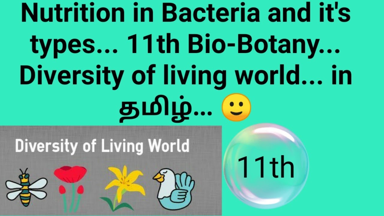 Nutrition In Bacteria 11th Bio Botany Diversity In Living World