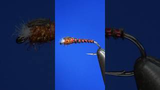 Top Stillwater Fly Patterns: Old School Chironomid Pupa #flyfishing #troutfly  #chronomidfly