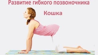 Кошка. Развитие гибкого позвоночника Кошка. Развитие гибкого позвоночника