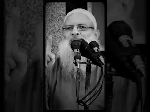 قصة أبي هريرة رضي الله عنه لما دعي ليشهد وليمة | #الشيخ_محمد_سعيد_رسلان حفظه الله
