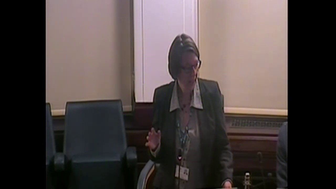 Trafford Green Party Response to Trafford Council 2020 Budget YouTube