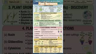 plant hormones#ytshorts#neet2026#neetbiology#neetrepeater#neetexam#cuet#csirnet#cuetpreparation#