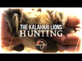 AFRICAN JACK HUNTING - 'Hunting in the Kalahari' with HAWA and Afri-Sun Safaris (Impact Shots)