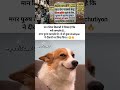 मर्द जाति का जीवन कठिन है मित्तर 💔😔💯#memes #popular #funnymemes #tweetreels #purush#mard