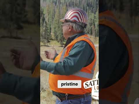 Reviving The West: Mountain Forest Preservation Efforts #shorts