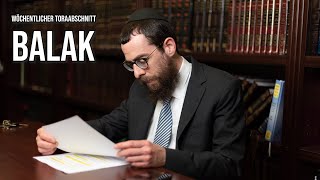 Balak 5781 | Rabbiner Shmuel Havlin