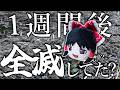 ゆっくり実況者、発芽&成長を見守る。|手探り作業録 #02【ゆっくり実況】