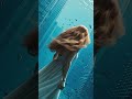 Mookie Experimental - Oniric Ladies