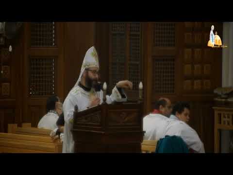 البشارةالمفرحة القس انتوني ميخائيل عظة قداس الاحد الثاني شهركيهك كنيسةالعذراءمريم الزيتون 19 12 2021 