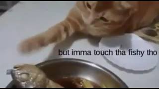Touch da fishy