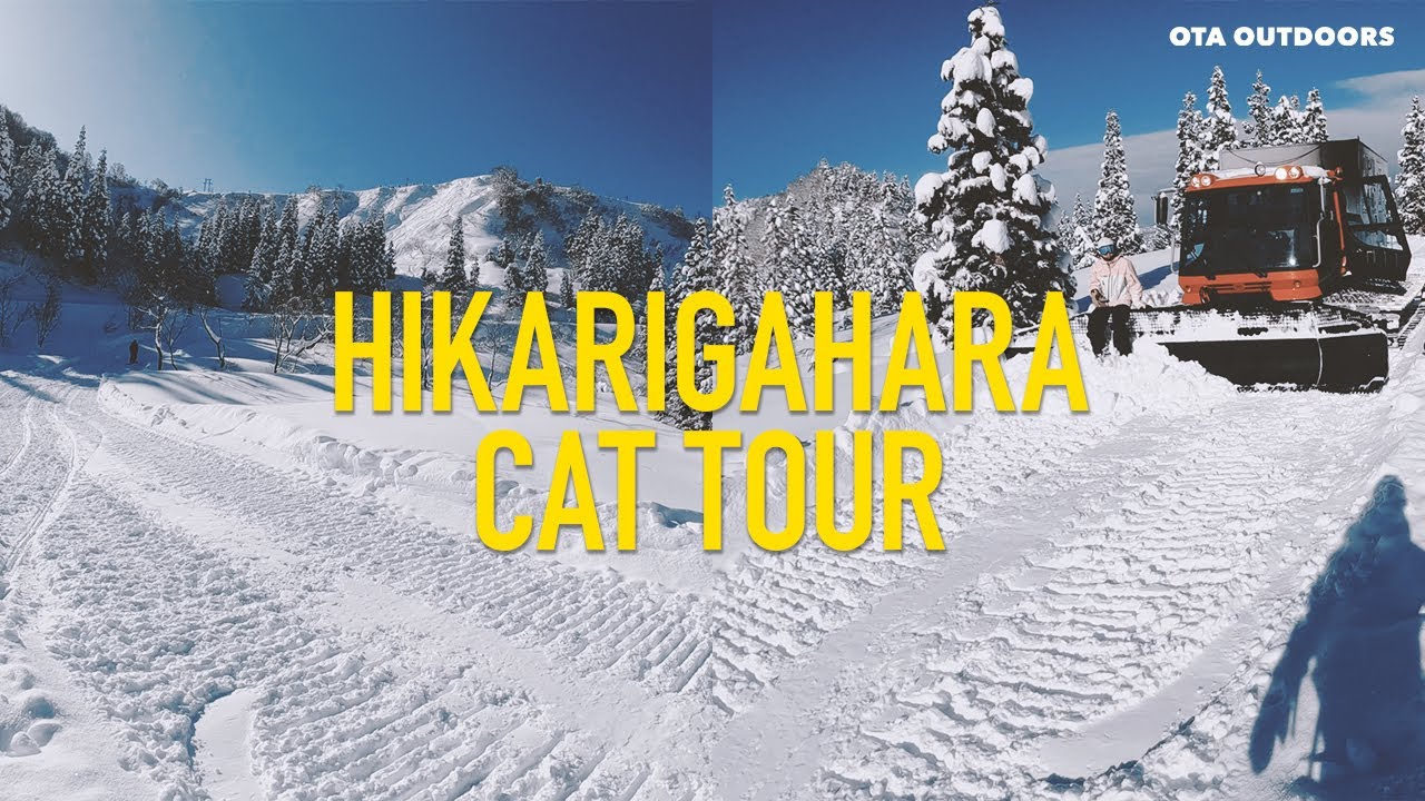 ●【サボ　愛称板】（表）しれとこ SHIRETOKO（裏）大雪 TAISETU ○【サボ 愛称板】（表）しれとこ SHIRETOKO（裏）大雪 TAISETU
