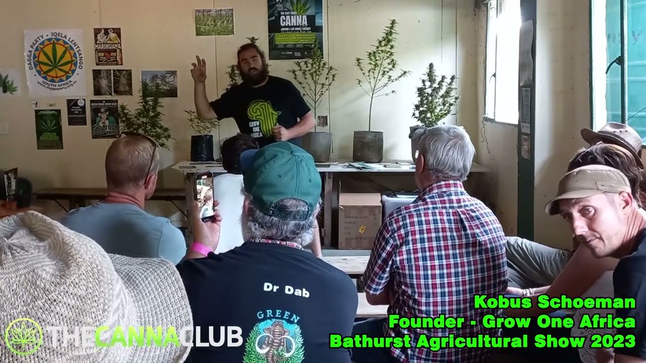 Unlocking the Cannabis Industry in South Africa - Grow One Africa