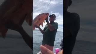 How to catch Cubera Snapper with a Handline Rig