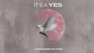 Video thumbnail of "Consumed By Fire - It's a Yes (Visualizer)"