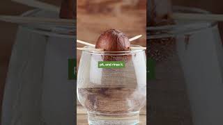 You've been eating avocados wrong... #organic #health #wellness