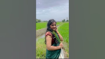 പാടം പുത്ത പാടം🌼🤍 #chithram #malayalamsong #trendingshorts